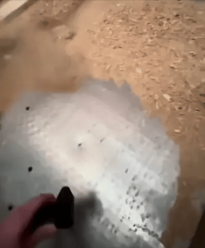 point of view perspective of someone using a blowy v3 power blower blowing wood chips off of a work bench